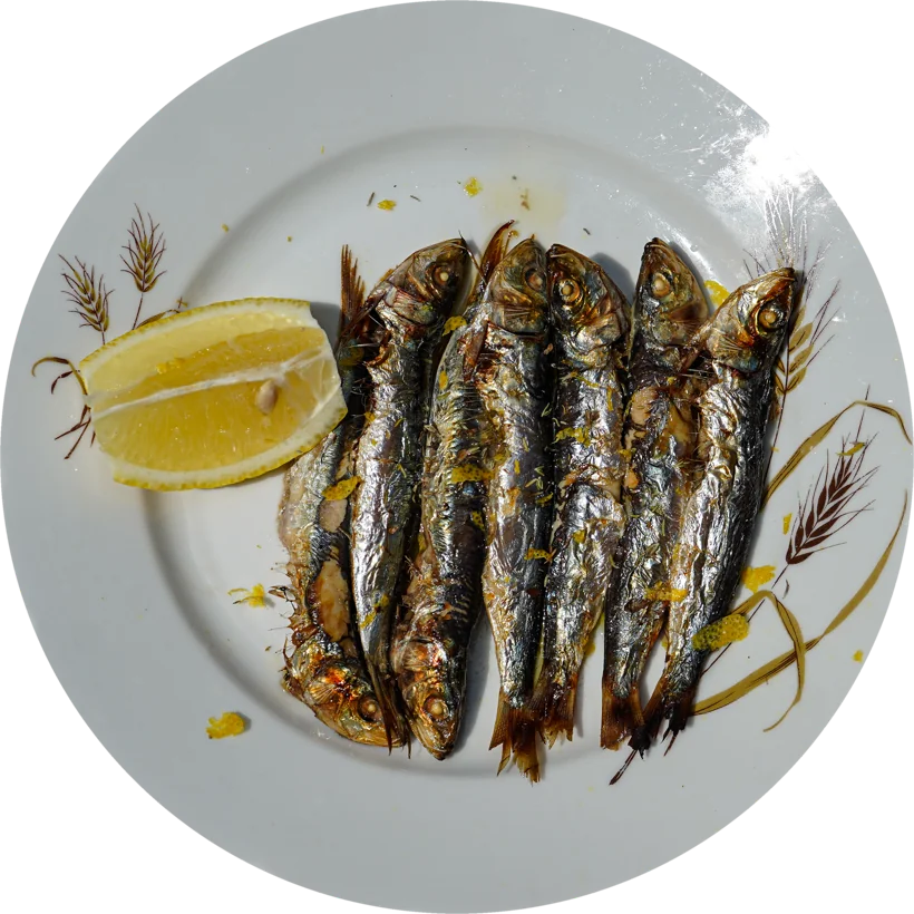 Sardines de Méditerranée grillées