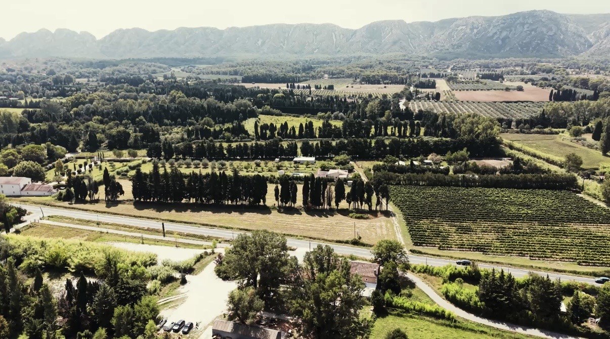 La Guinguette – Mas de Nierne, vue du domaine
